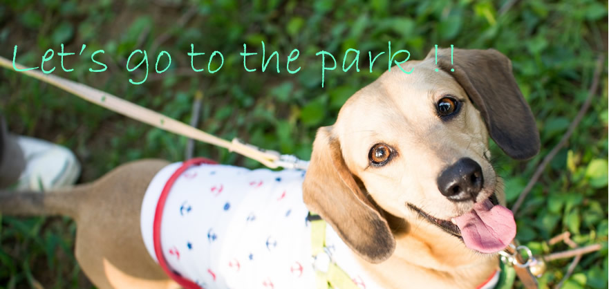 名古屋市千種区・公園ガイド